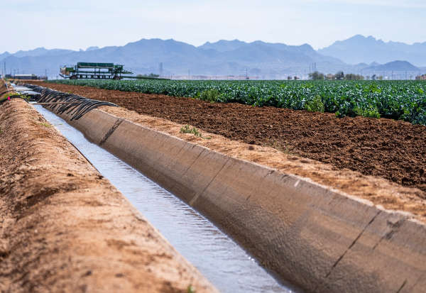 irrigation